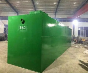 WSZ-0.3型500工廠生活污水處理設(shè)備生產(chǎn)廠家報(bào)價(jià)及智能制造與伺服電機(jī)應(yīng)用解析